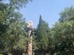 -北陵公园