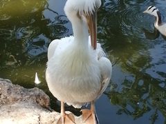 -昆明动物园