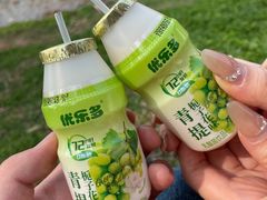 -西安世博园