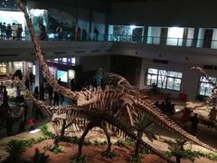 -自贡恐龙博物馆