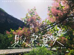 -周口店坡峰岭风景区