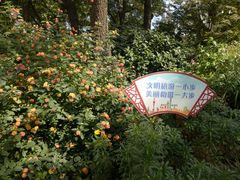 -兰溪青年公园