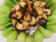 -安多素食(广仁寺路店)