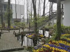 -军山湖云水间生态农业旅游景区