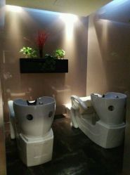 -史云逊养发护发