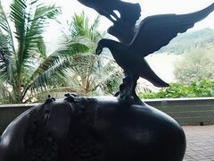 -广东惠东海龟国家级自然保护区