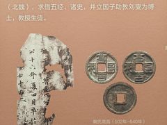-安阳博物馆