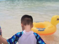 -重庆海昌加勒比海水世界
