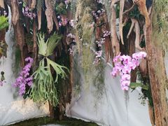 -海心沙亚运公园