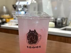 -有猫主题·治愈系猫咖(曾厝垵店)