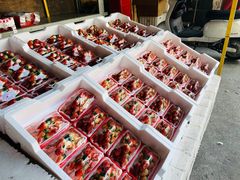 -双福水果批发市场