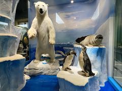 -国家自然博物馆