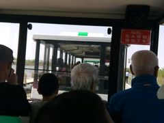 -呼兰河口湿地公园