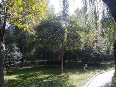 -木塔寺遗址生态公园