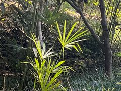 -河南省黄河迎宾馆
