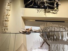 -国家自然博物馆