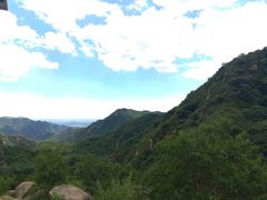 -大岭沟猕猴桃谷风景区