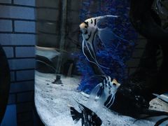 iphone_upload_pic-台州海洋世界