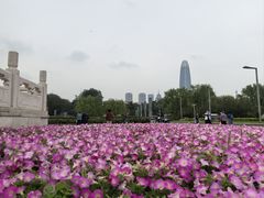 -泉城广场