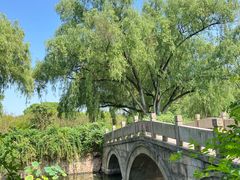 -上海共青森林公园