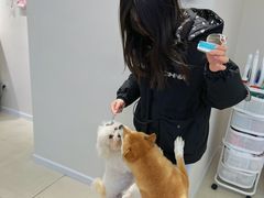 -怪兽屋·羊驼·猫咖·狗咖(俊华广场店)