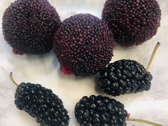 -圣罗巴海鲜自助(黑金店)