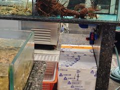 -舌尖上·霞浦滩涂海鲜·新闽菜(总店)