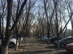-奥林匹克森林公园南门-停车场
