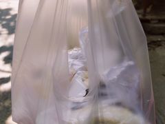 -清真马乐贝腊牛肉蛋黄菜夹馍(马蓉洒金桥店)