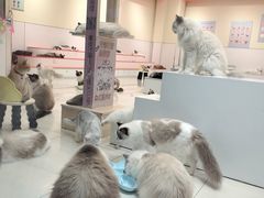 -万达广场(南京江宁店)