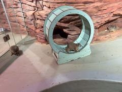 -正佳雨林生态植物园
