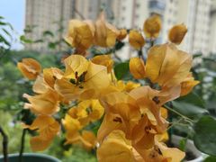 -fishtank鱼缸咖啡(三山街店)