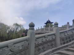 -迎泽公园
