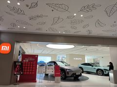 -小米之家(南城民盈国贸城店)