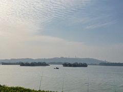 -海鸥岛