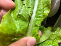 -愿者上钩·纸包鱼(翻身店)