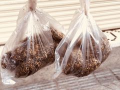 -叶氏麻糍(鼓浪屿店)