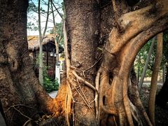 -番禺博物馆-冼星海纪念馆