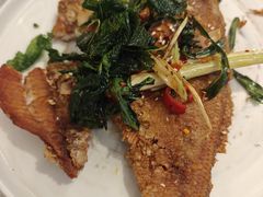 -Aqua Oasis 水天堂(常熟永旺店)