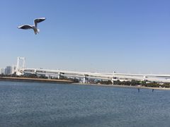 -台场海滨公园船码头