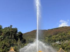 -西双版纳原始森林公园