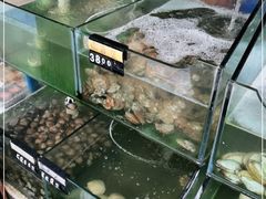 水产区-四海鲜渔家菜(黄金海岸店)