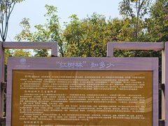 -宝安西湾红树林湿地公园