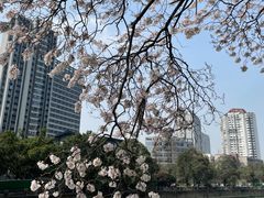 -红星桥(地铁站)
