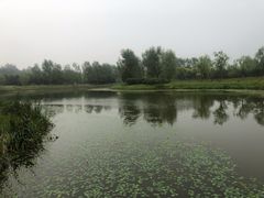 -东郊湿地公园