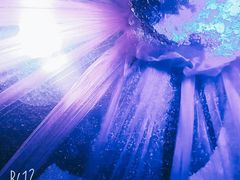 -水晶之星洗浴温泉汗蒸