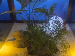 -大桶大足浴(山钢和润荟店)