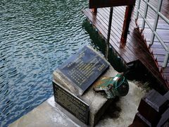 -祁门牯牛降观音堂风景区