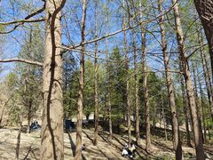 -白水寺森林公园