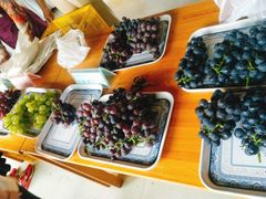 -白鹿原葡萄主题公园